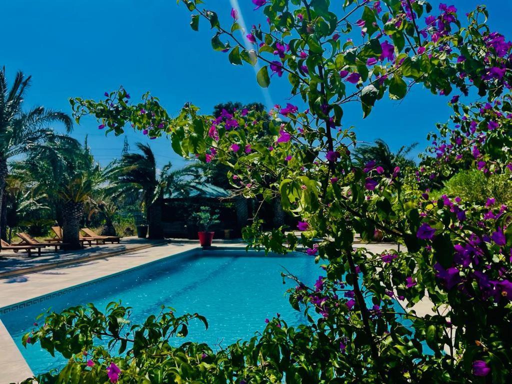 Tropic Hotel Rivesaltes Dış mekan fotoğraf